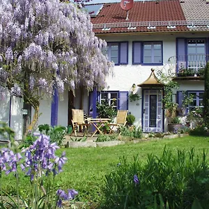 Biohof Und Imkerei Schlössle Allgäu Untrasried