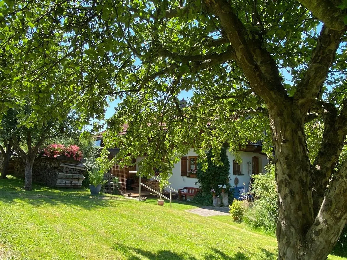 Apartment Haus Wiesengrund Frauenau Germany